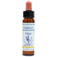 Cerato Healing Herbs Tropfen