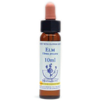 Elm Healing Herbs Tropfen