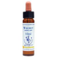 Walnut Healing Herbs Tropfen